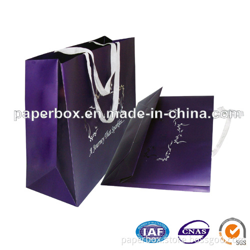 Paper Bag/Gift Bag/Paper Shopping Bag (FXS-221)